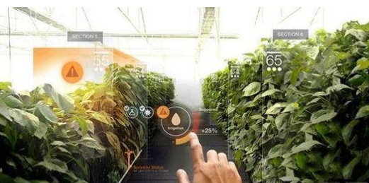 VR還能這么玩！農(nóng)業(yè)+VR,玩轉農(nóng)業(yè)新技術