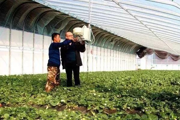 對不起，我跟著華為，辭職種地了！