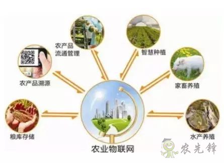 為農(nóng)業(yè)插上翅膀，物聯(lián)網(wǎng)引領(lǐng)下一個農(nóng)業(yè)時代！