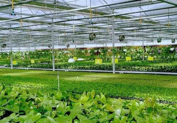 為農(nóng)業(yè)插上翅膀，物聯(lián)網(wǎng)引領(lǐng)下一個農(nóng)業(yè)時代！