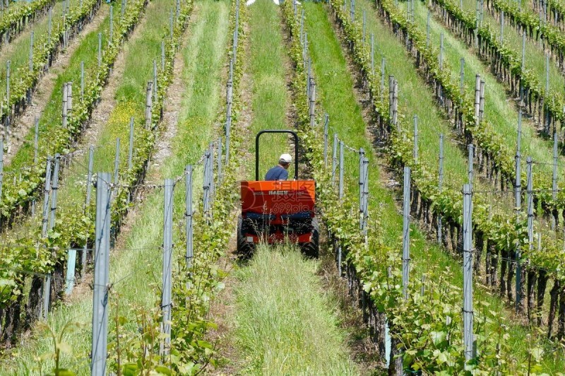 智慧農(nóng)業(yè)前景好，可為啥農(nóng)民用得少？