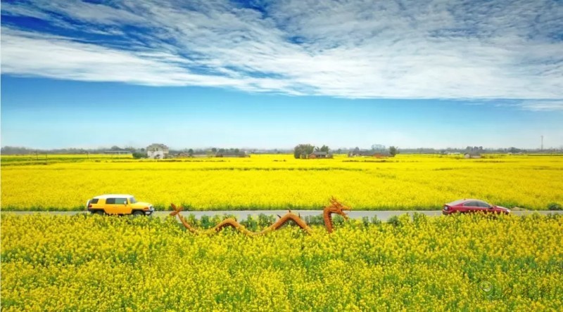 智慧農(nóng)業(yè)前景好，可為啥農(nóng)民用得少？