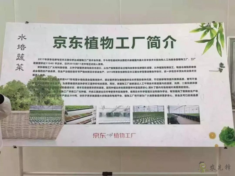 京東的這些&ldquo;網紅&rdquo;農業項目，你都知道嗎？