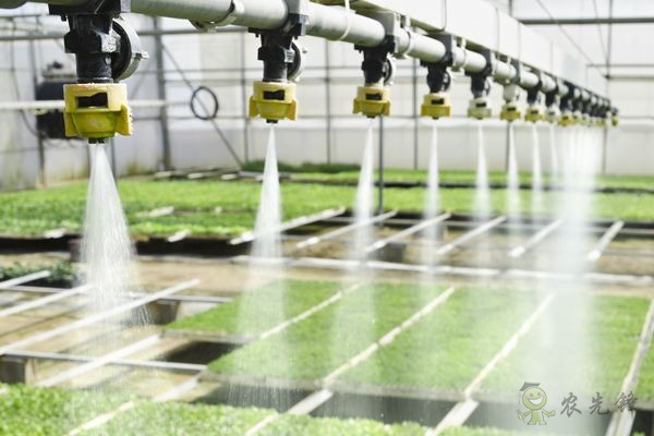 智慧農(nóng)業(yè)的發(fā)展，農(nóng)民能否被淘汰