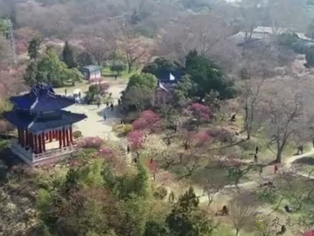 樊祥成：新冠肺炎疫情給農業(yè)農村發(fā)展帶來的困難只是暫時的