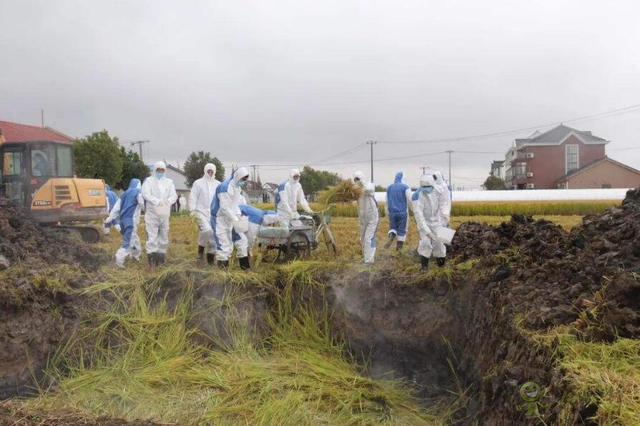 樊祥成：新冠肺炎疫情給農業(yè)農村發(fā)展帶來的困難只是暫時的