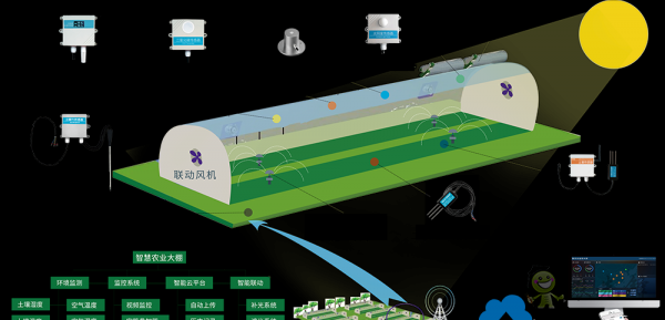 5G新基建建設加速現(xiàn)代農(nóng)業(yè)建設