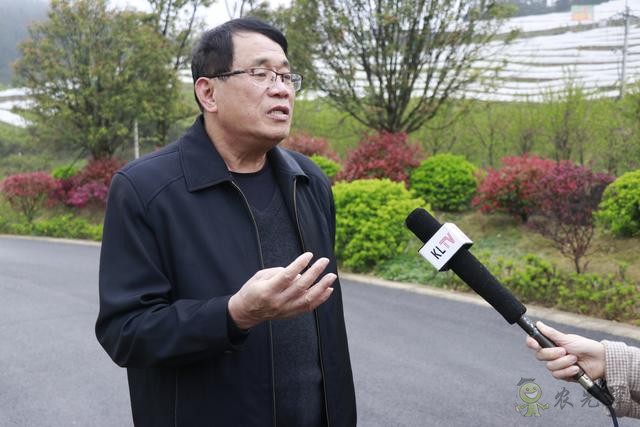 凱里:傳統(tǒng)農(nóng)業(yè)插上現(xiàn)代“翅膀”