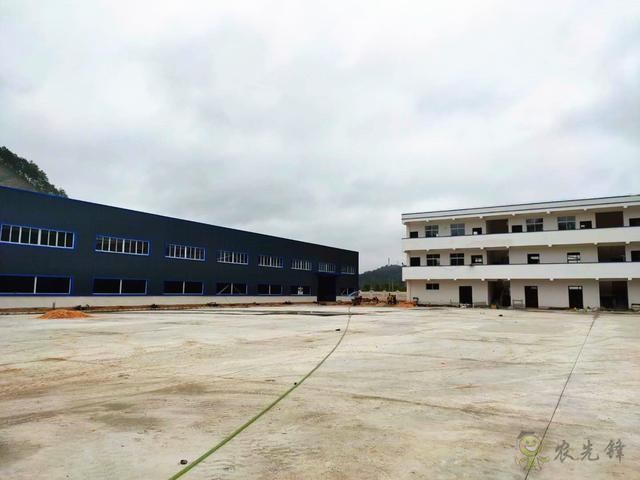 凱里:傳統(tǒng)農(nóng)業(yè)插上現(xiàn)代“翅膀”