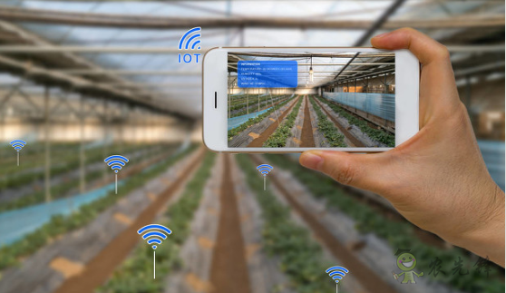 助力智慧農業快速發展,大數據來幫忙