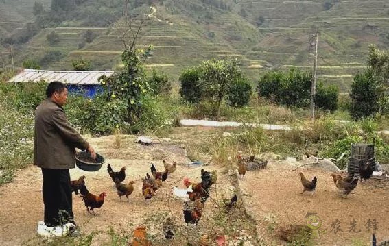 陳錫文:發展現代農業,意味著要消滅小農戶嗎?