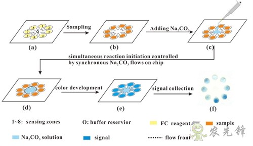 茶多酚含量有多少？這個技術10分鐘就可測出來