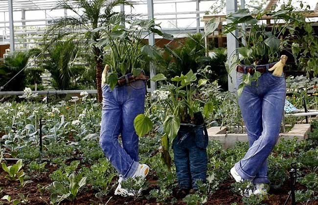 農(nóng)業(yè)模式