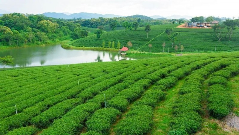 生態循環農業”的發展重點 這五點值得關注