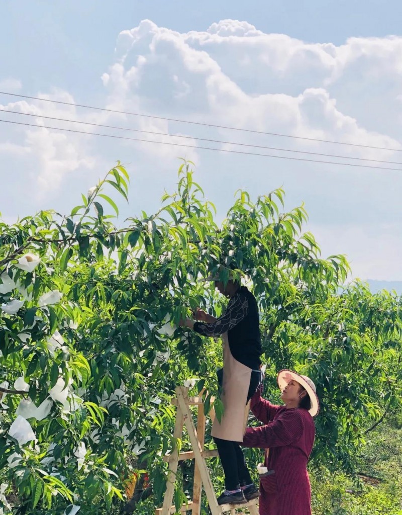 以創建農業國際貿易高質量發展基地為契機&mdash;&mdash;推動中國農業國際合作邁向新高度