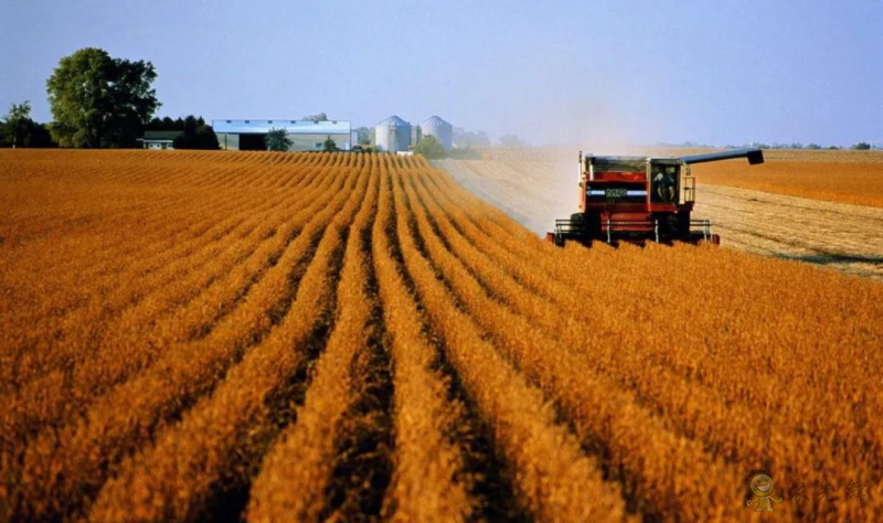 農(nóng)業(yè)農(nóng)村部:共建60個(gè)全國(guó)農(nóng)業(yè)科技現(xiàn)代化先行縣