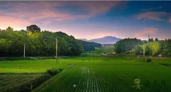 日本農(nóng)產(chǎn)品自給率下降,糧食安全排名卻上升