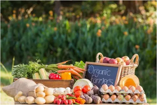 &ldquo;深農會&rdquo;為您講述中國農業發展史下的生態農業