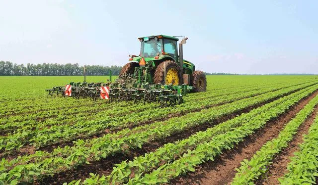 行間智能除草“機(jī)器人”