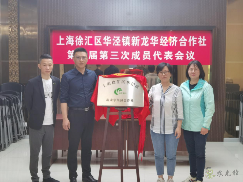 徐匯區華涇鎮:深化農村改革,助力集體經濟發展壯大