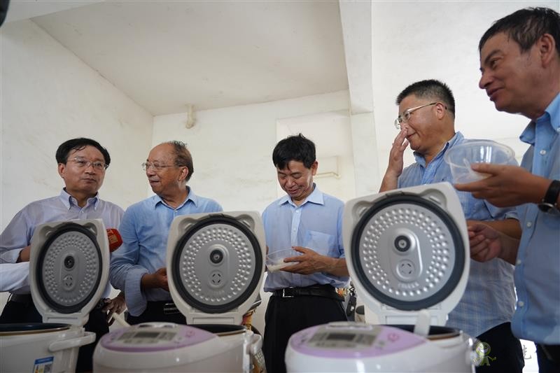 雙季早粳稻實現&ldquo;零的突破&rdquo; 可提前三個月吃上優質新米