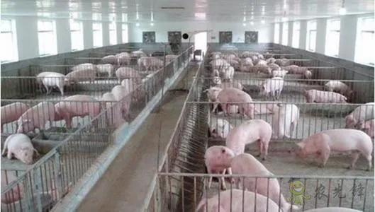 我國智慧畜牧業(yè)發(fā)展現(xiàn)狀與趨勢