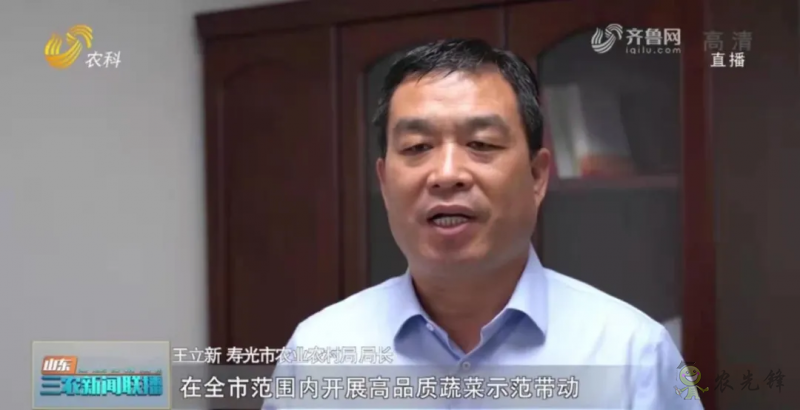 &ldquo;壽光標準&rdquo;向全國輸出 推動蔬菜產業提檔升級