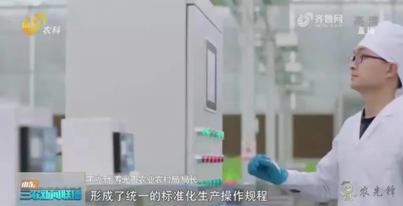 &ldquo;壽光標準&rdquo;向全國輸出 推動蔬菜產業提檔升級