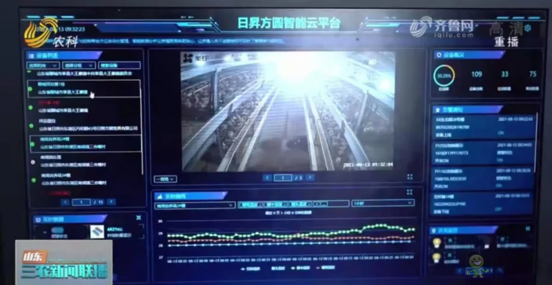 山東日照: 智慧養殖新模式 36萬只肉雞養殖不犯難