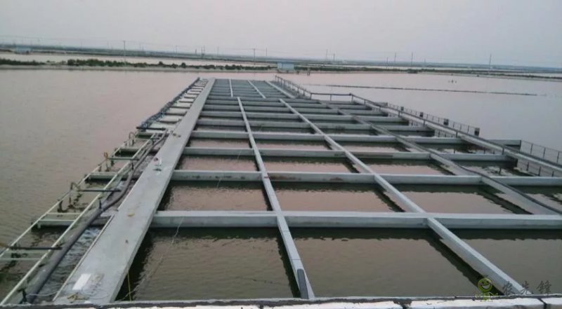 2021年農業農村部重大引領性技術發布！