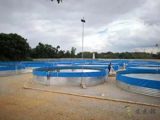 2021年農業農村部重大引領性技術發布！