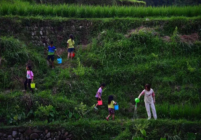 賀雪峰:未來 15 年, 鄉村振興關鍵在保底