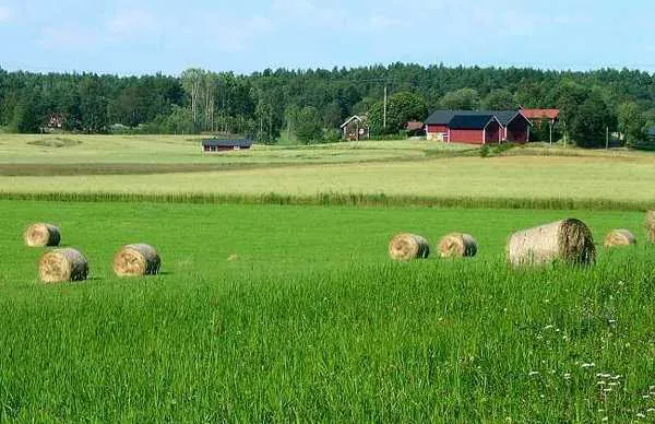 美國&ldquo;智慧農業(yè)&rdquo;帶動農業(yè)產業(yè)鏈實現(xiàn)全新變革