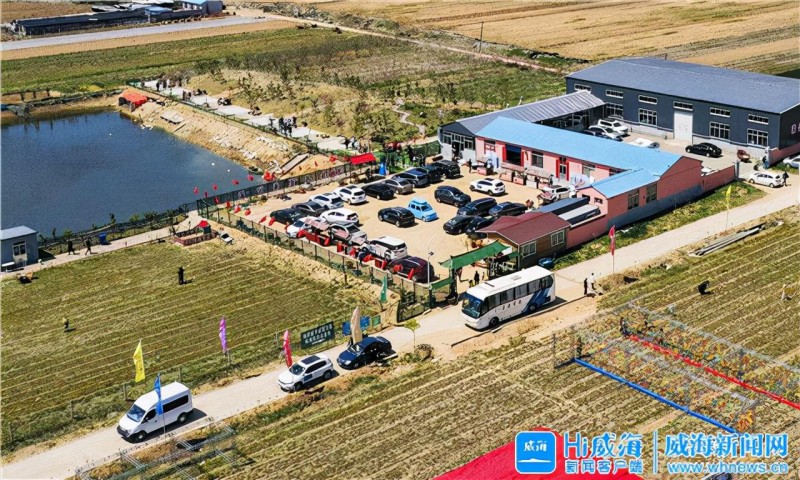 威海全面推進鄉(xiāng)村振興  重點發(fā)展20個農(nóng)業(yè)優(yōu)勢產(chǎn)業(yè)