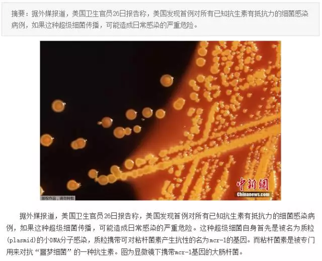 &ldquo;抗生素肉&rdquo;擺滿中國人餐桌，豬肉含量居然是牛肉的5倍!