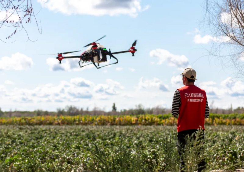 助力中小企業高質量發展,極飛科技智慧農業賦能打開新道路