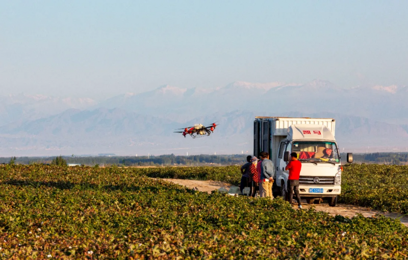 助力中小企業高質量發展,極飛科技智慧農業賦能打開新道路