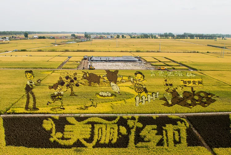 習(xí)近平:堅(jiān)持農(nóng)業(yè)農(nóng)村優(yōu)先發(fā)展,加快農(nóng)業(yè)農(nóng)村現(xiàn)代化