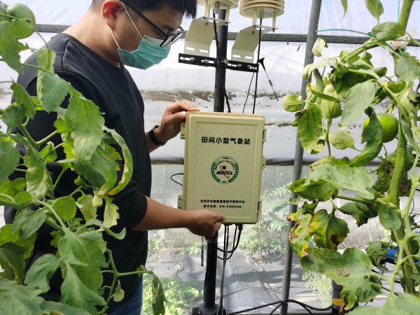 塑料大棚&ldquo;智能化&rdquo;，北京開展高效設(shè)施農(nóng)業(yè)用地試點(diǎn)
