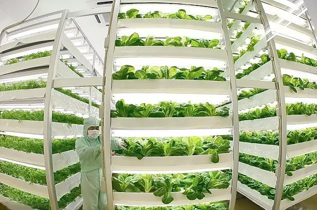 做農業，這幾種高效生態農業模式你必須知道