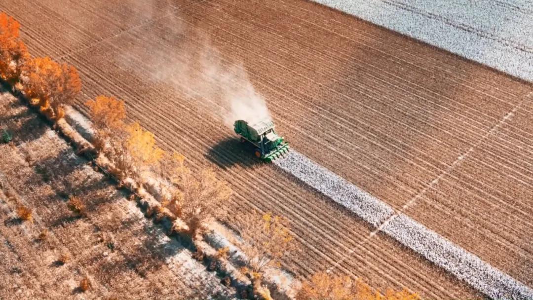 種棉&ldquo;游戲&rdquo;&mdash;&mdash;新疆尉犁縣&ldquo;90后&rdquo;的無人農(nóng)場印象