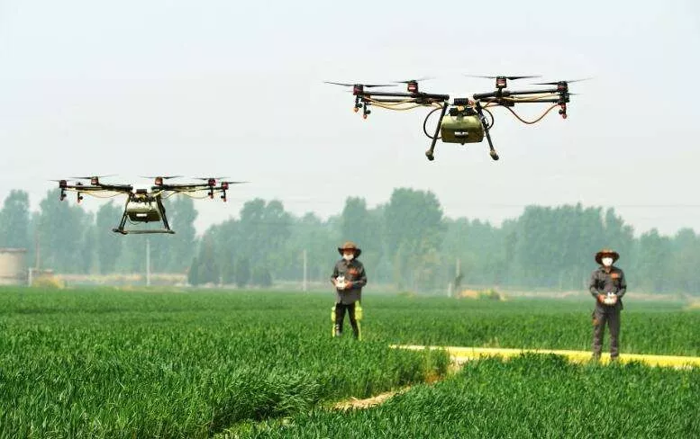 中國農業的智慧升級路:未來小農戶將成高收入群體