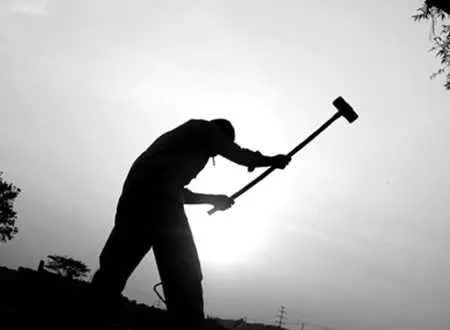 中國農業的智慧升級路:未來小農戶將成高收入群體