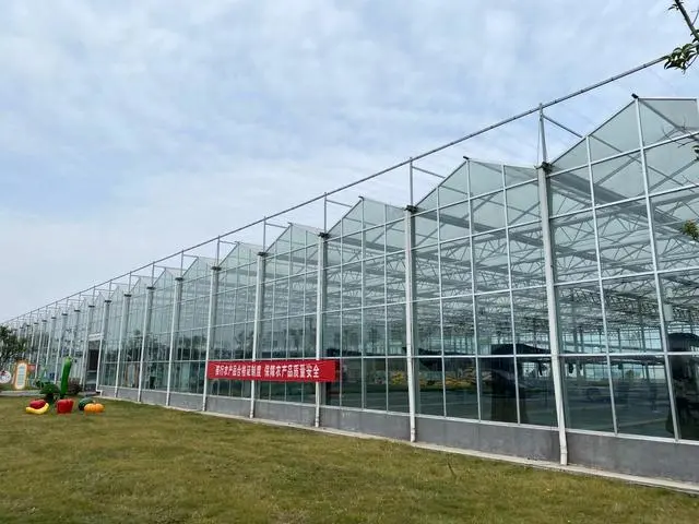 江蘇：全省&ldquo;一張網(wǎng)&rdquo;，兜牢農(nóng)產(chǎn)品質(zhì)量