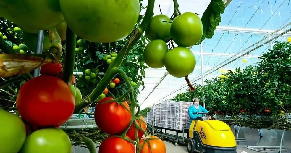 國常會重磅定調：&ldquo;十四五&rdquo;加快農機研發創新！