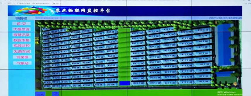 標準化香菇生產大棚