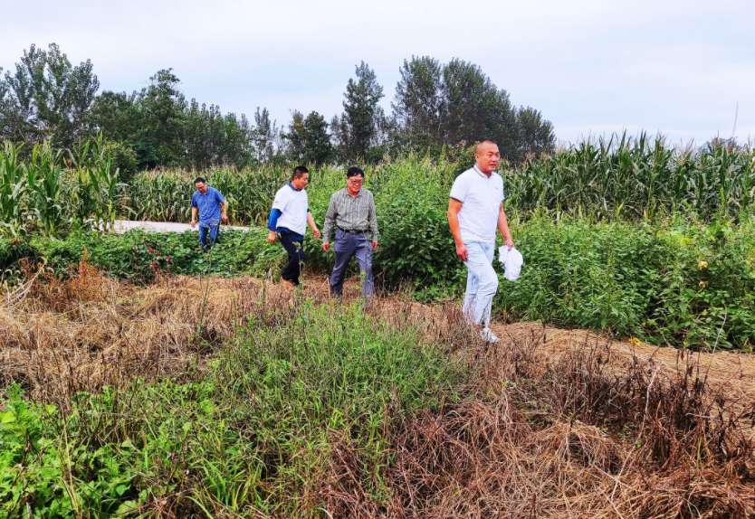 國家加大農業獎補力度，對農民種糧是個好消息，2022年該如何調整
