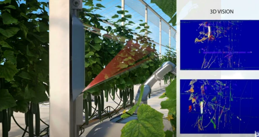 Crux Agribotics關(guān)于未來黃瓜采摘機(jī)器人示意圖