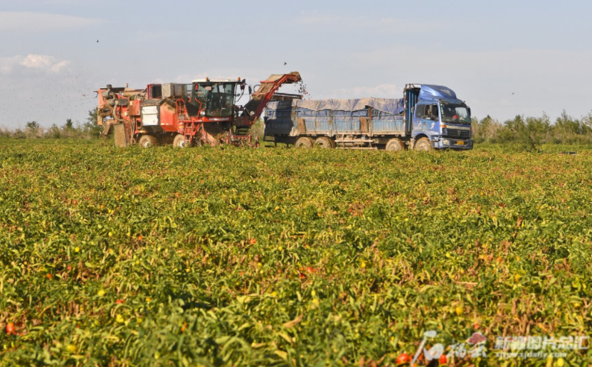 &ldquo;汗水農業&rdquo;向&ldquo;智慧農業&rdquo;轉變