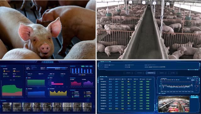 作者：成都世紀(jì)銳通